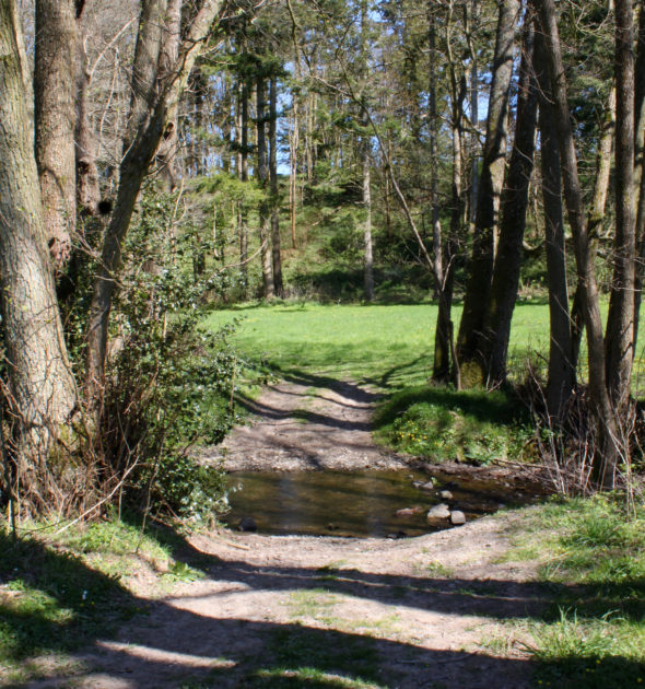 Stepping stones