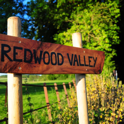 Welcome to Redwood Valley