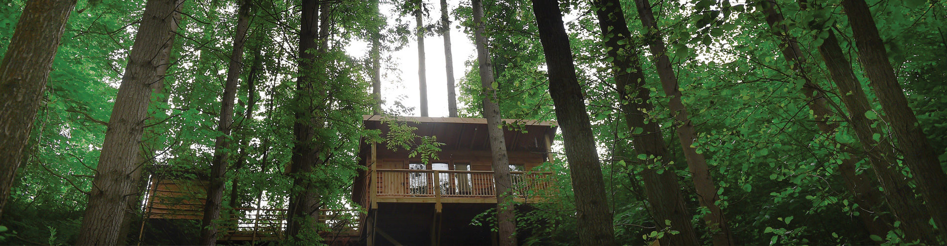 Redwood Valley Treetop Cabin in Presteigne, Wales. Photo: Ben Radford.