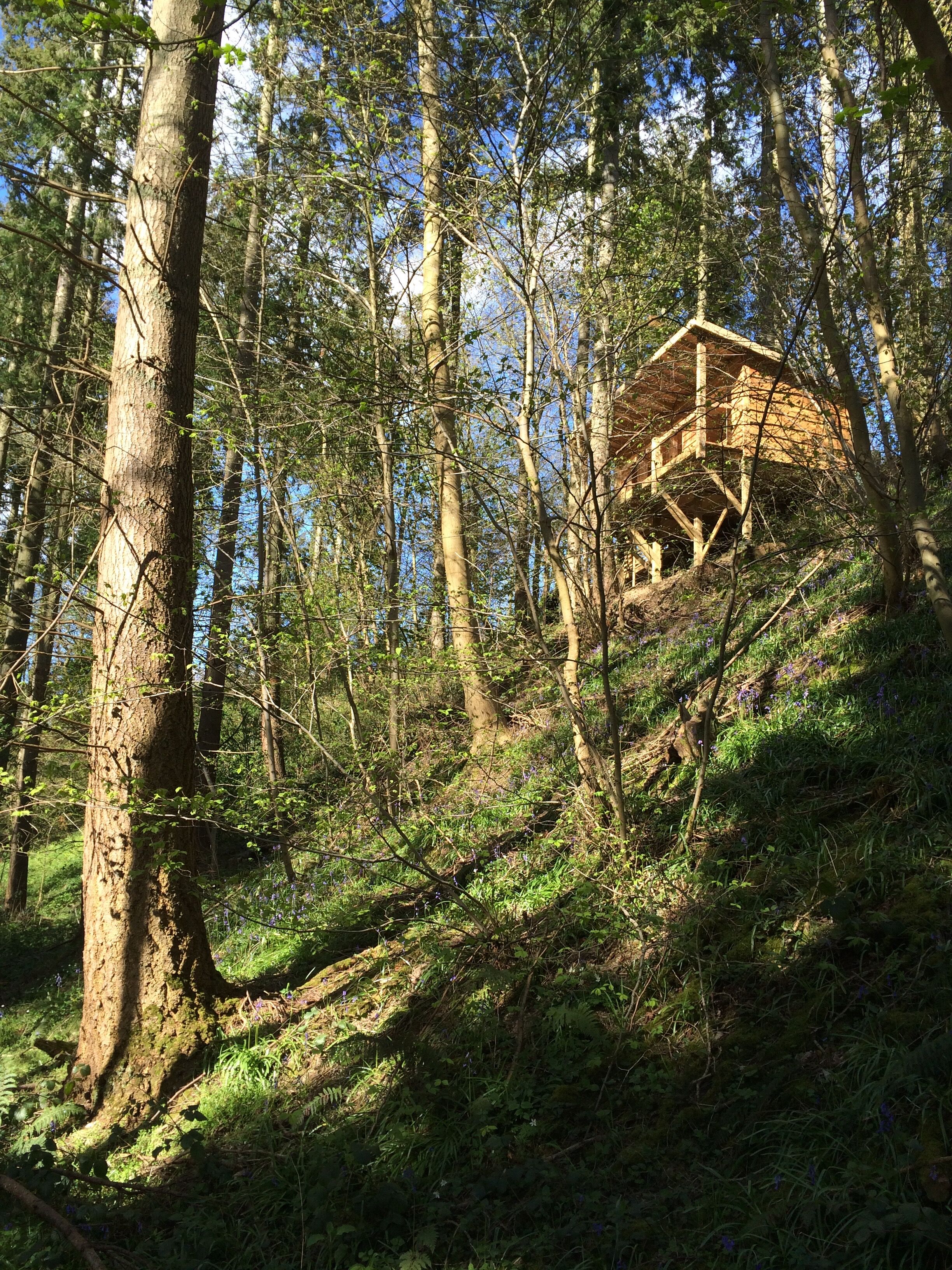 Treetop Cabin Redwood Valley