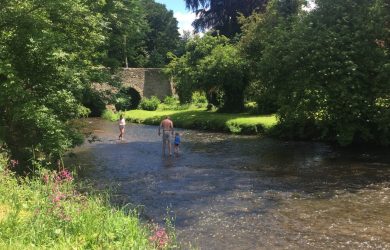 Paddling in Pembridge