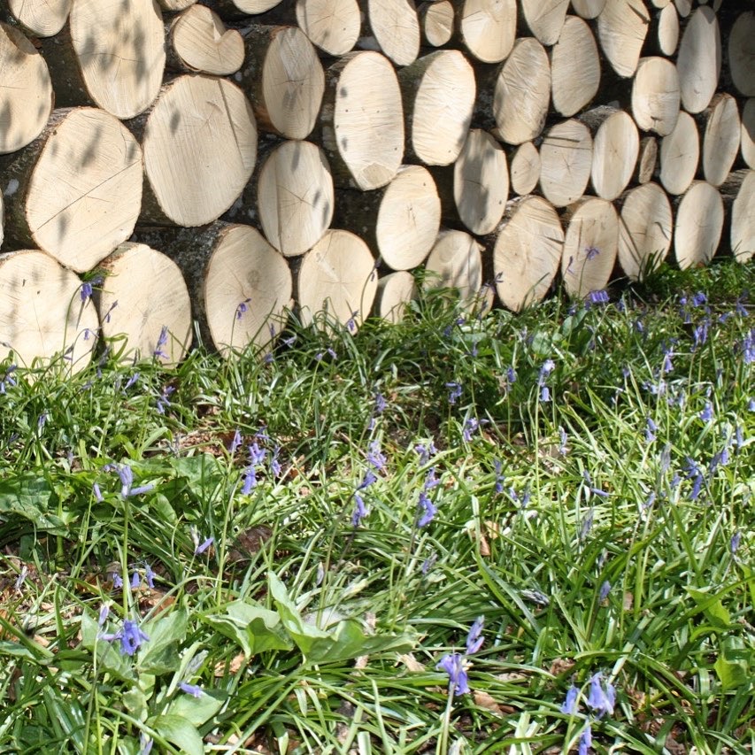 Coppiced wood
