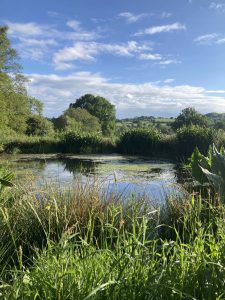 Nature pond